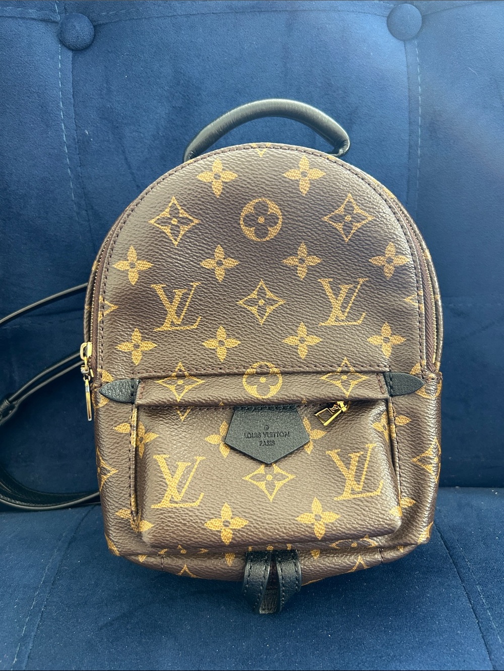 Monogram Palm Springs Mini Backpack